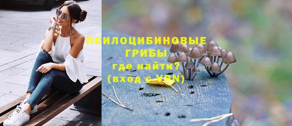 ГАЛЛЮЦИНОГЕННЫЕ ГРИБЫ Навашино
