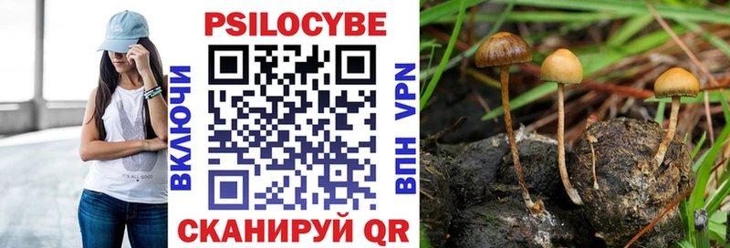 цены наркотик Юрьев-Польский Галлюциногенные грибы Psilocybe