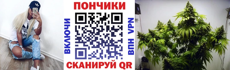 где продают наркотики  Юрьев-Польский  shop телеграм  МАРИХУАНА марихуана 